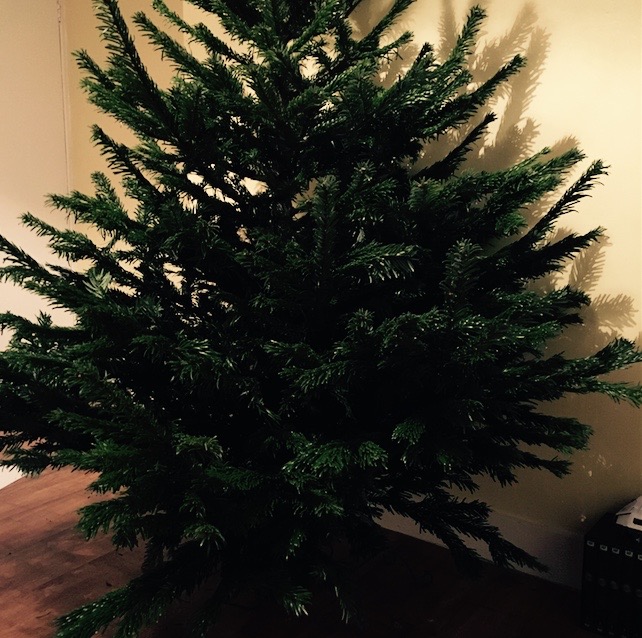 Screen Shot 2015-12-05 at 17.54.48