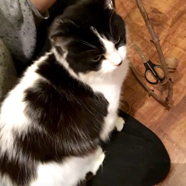 Screen Shot 2015-12-06 at 22.15.31